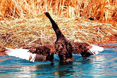 《星际卡车司机》新增Xbox Series版本 9月发售