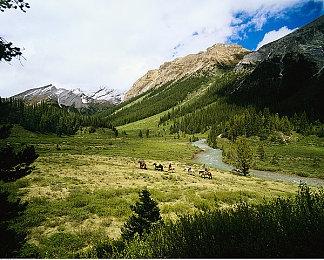 网易手游《幻书启世录》今天下午3点停运 运营时间424天