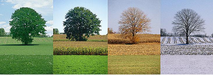 美国仓库发现价值几万美元未开封老游戏